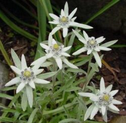 50代、60代から始める声楽レッスン